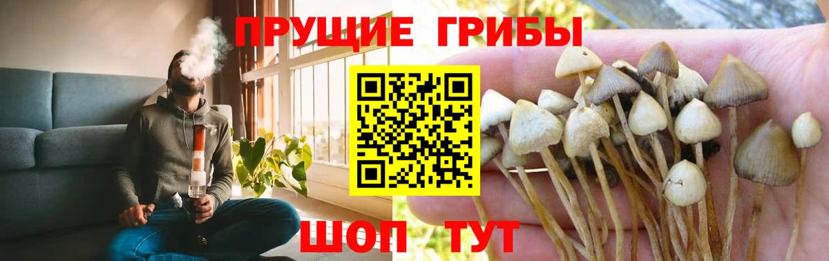 Псилоцибиновые грибы Cubensis  Вход с VPN  магазин    Нягань 